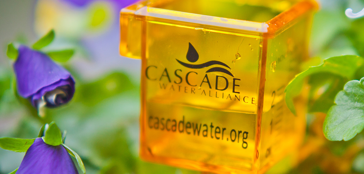 Overview of Cascade Water Alliance
