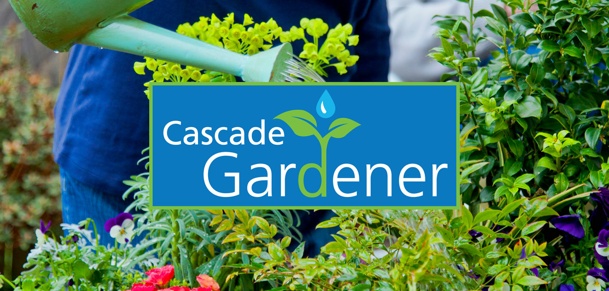 Cascade_Gardener