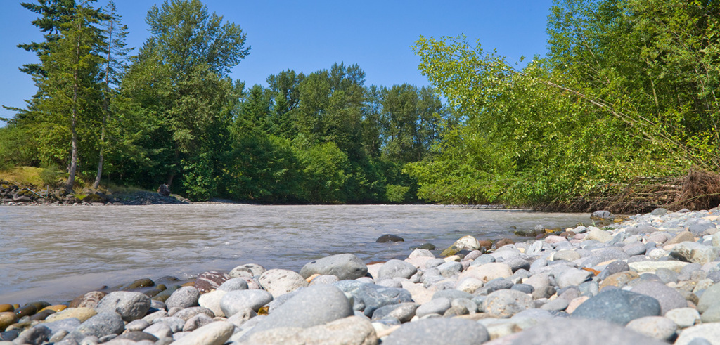 Cascade Announces 2025 Lake Tapps Milfoil Treatment Plan