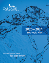 stategic plan image 2020-2024